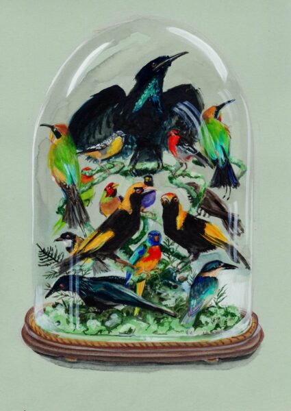 Taxidermy Stuffed Glass Vitrine with Birds 2024 gouache on green card 20 x 30 cm