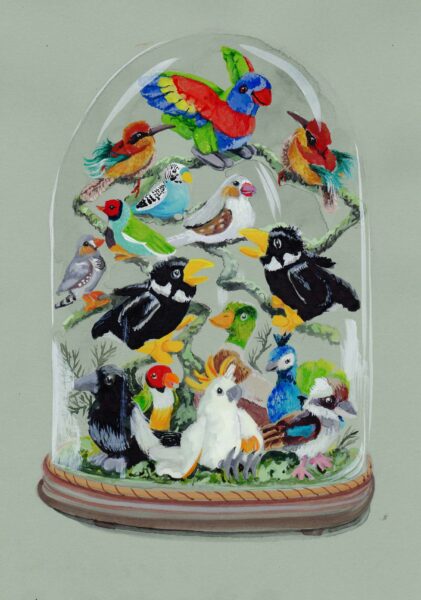 Souvenir Stuffed Glass Vitrine with Birds 2024 gouache on green card 20 x 30 cm