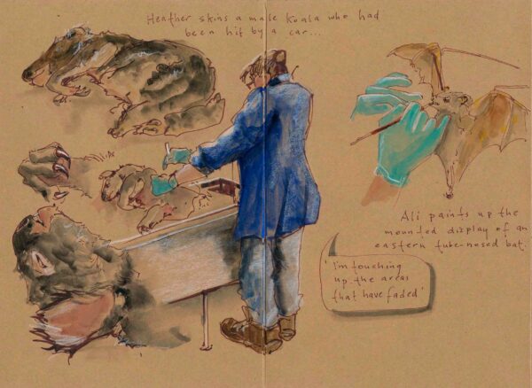 Museum Sketchbook - Image 3