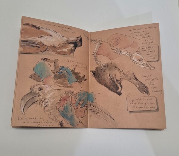 Museum Sketchbook - Image 7